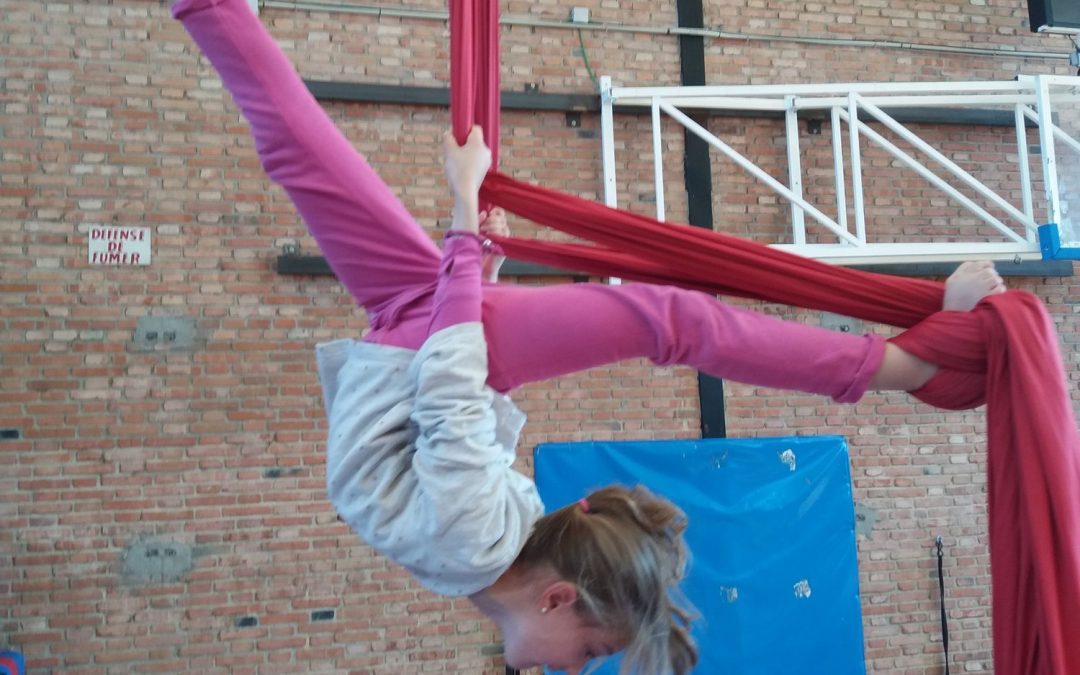 FESTIVAL DE CIRCO – VIDEOS