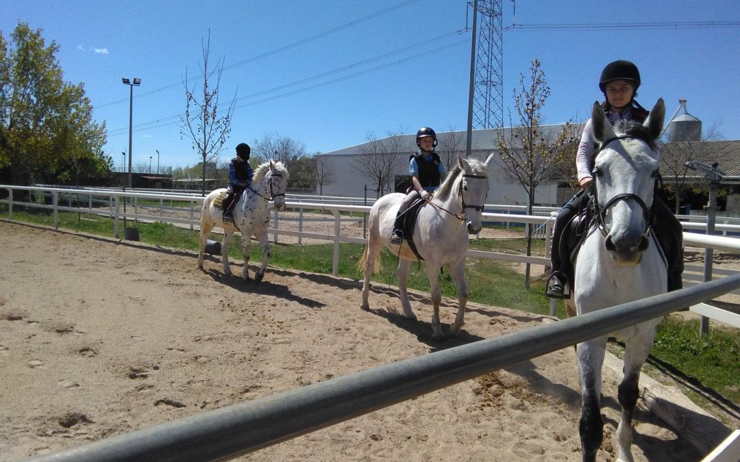 Equitation